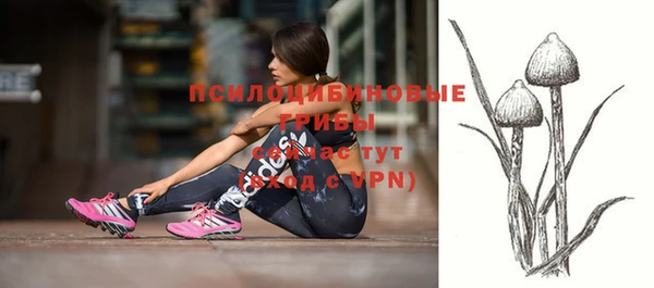 ECSTASY Зеленодольск