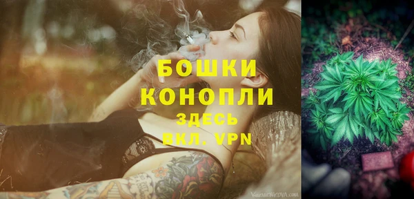 дживик Заводоуковск